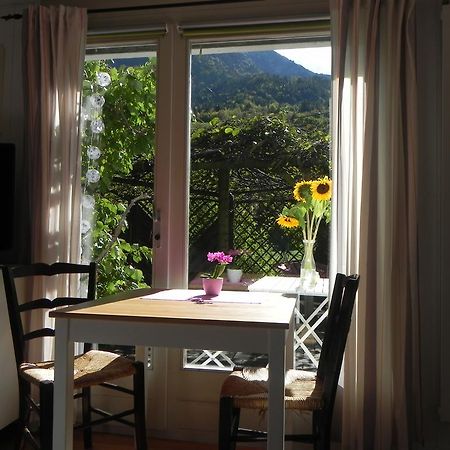 Appartement Der Morgenberg à Därligen Extérieur photo